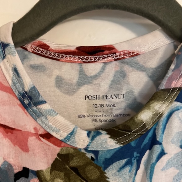 Posh Peanut Hydrangea Twirl - Picture 2 of 4